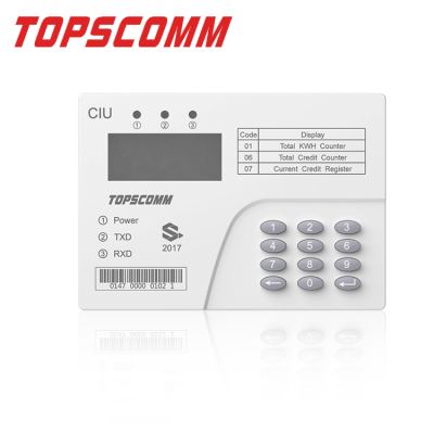 Consumer Interface Unit (CIU)
